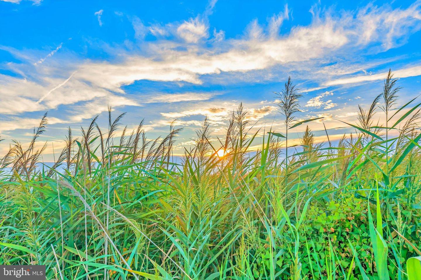 DESU2107444-804653348670-2026-03-19-09-55-23 220 Fox St | Milton, DE Real Estate For Sale | MLS# Desu2107444  - Jack Lingo REALTOR