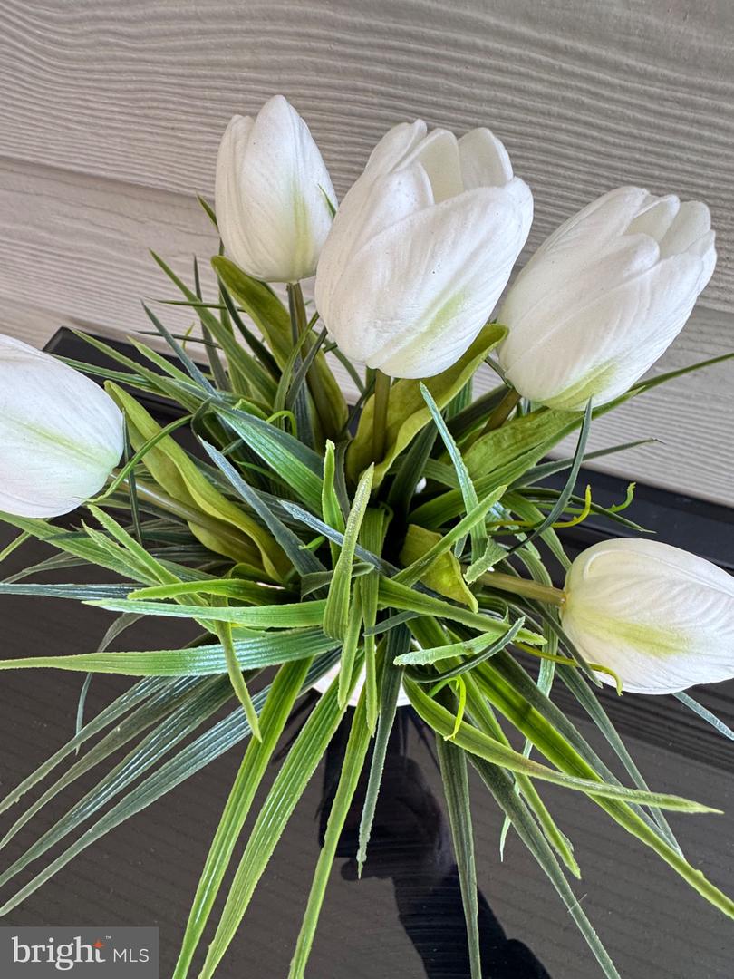 DESU2107472-804651861080-2026-03-18-12-12-52 1 Clubhouse Dr #e | Ocean View, DE Real Estate For Sale | MLS# Desu2107472  - Jack Lingo REALTOR