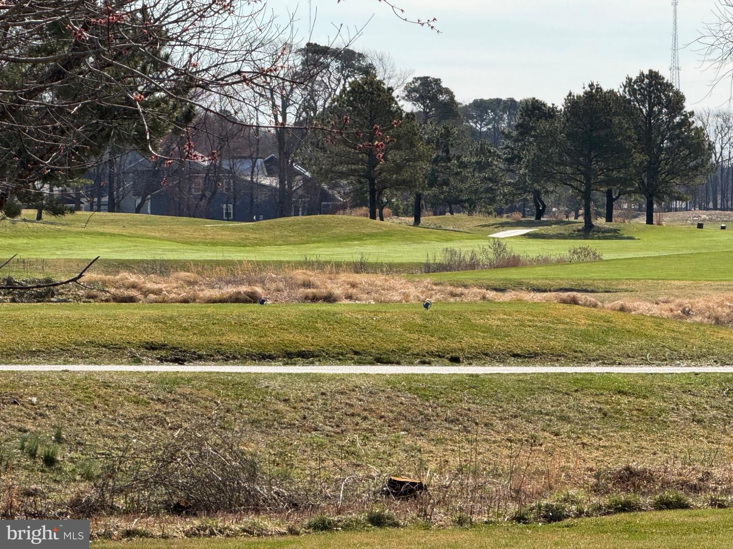 DESU2107472-804651862992-2026-03-18-12-12-52 1 Clubhouse Dr #e | Ocean View, DE Real Estate For Sale | MLS# Desu2107472  - Jack Lingo REALTOR