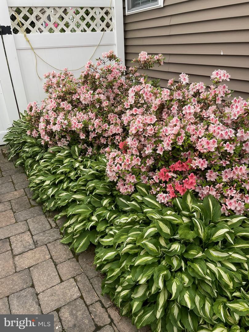 DESU2107610-804675527610-2026-03-23-23-25-52 324 E Sixth St | Blades, DE Real Estate For Sale | MLS# Desu2107610  - Jack Lingo REALTOR