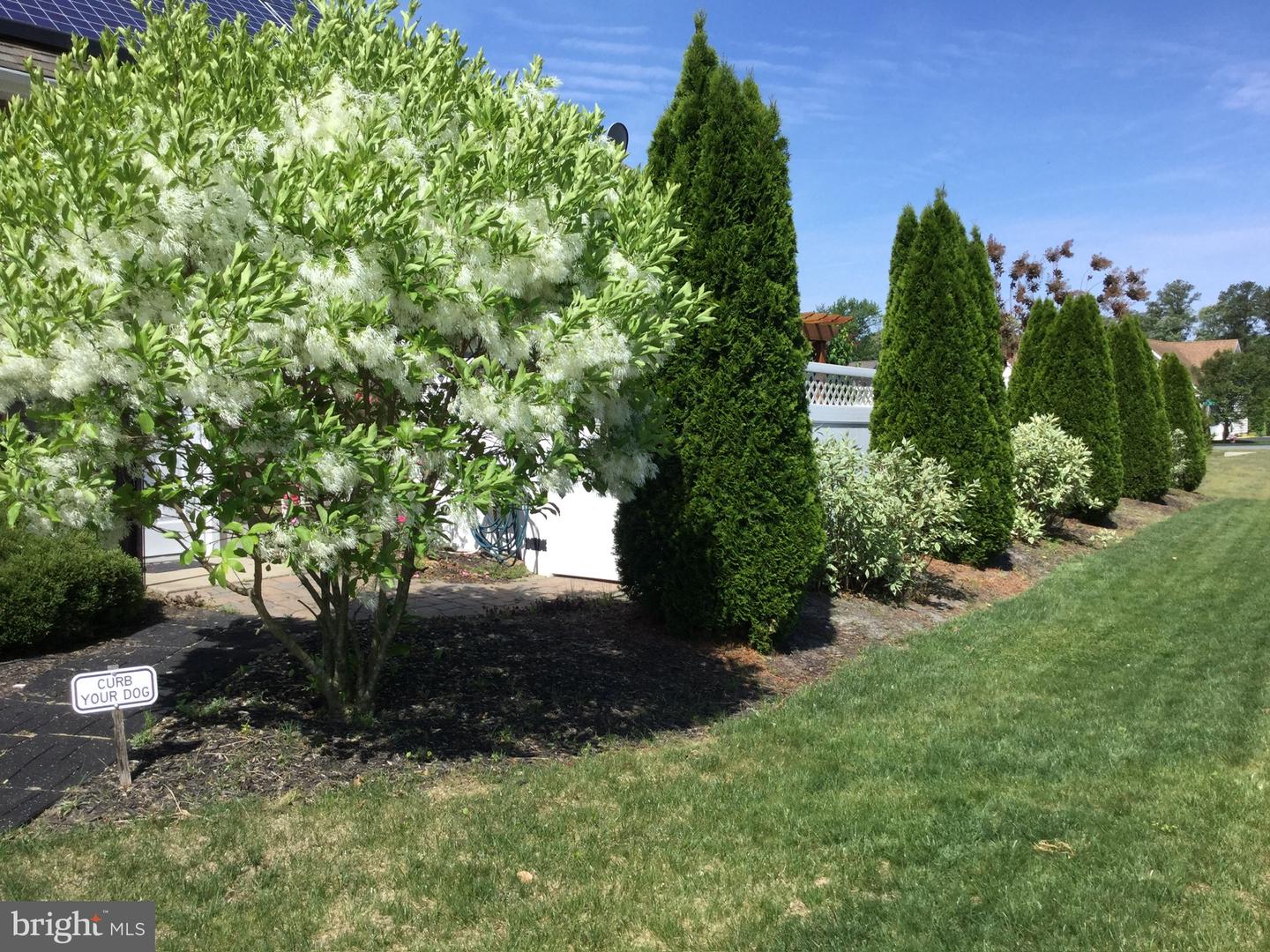 DESU2107610-804675527626-2026-03-23-23-25-48 324 E Sixth St | Blades, DE Real Estate For Sale | MLS# Desu2107610  - Jack Lingo REALTOR