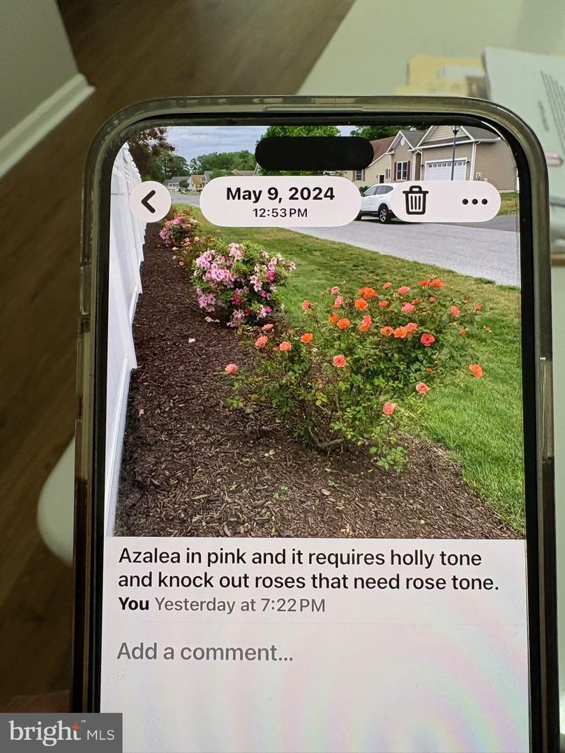 DESU2107610-804675527658-2026-03-23-23-25-49 324 E Sixth St | Blades, DE Real Estate For Sale | MLS# Desu2107610  - Jack Lingo REALTOR