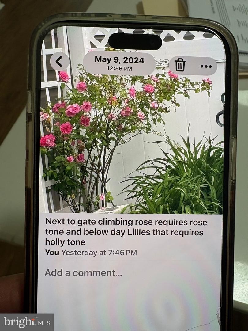 DESU2107610-804675527670-2026-03-23-23-25-49 324 E Sixth St | Blades, DE Real Estate For Sale | MLS# Desu2107610  - Jack Lingo REALTOR