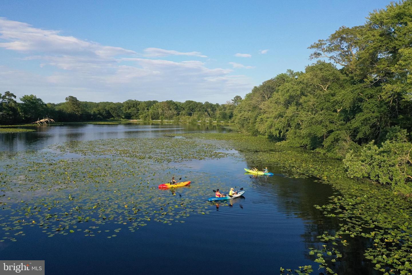 DESU2107650-804702588994-2026-03-30-10-04-07 24049 Bunting Cir | Harbeson, DE Real Estate For Sale | MLS# Desu2107650  - Jack Lingo REALTOR