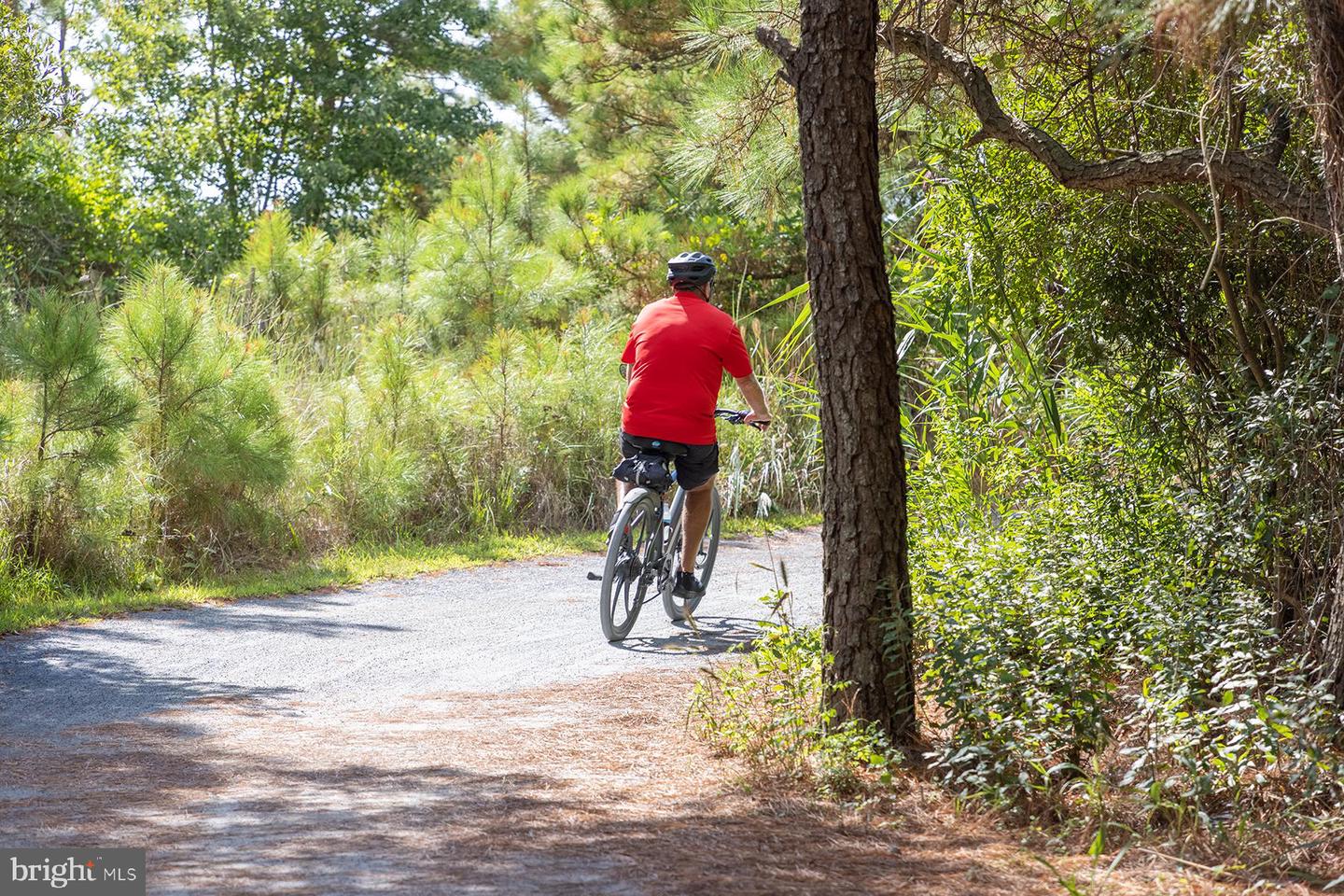 DESU2107708-804666266236-2026-03-20-23-30-09 119 East Side Dr | Rehoboth Beach, DE Real Estate For Sale | MLS# Desu2107708 - Jack Lingo REALTOR DESU2107708-804666266236-2026-03-20-23-30-09 119 East Side Dr | Rehoboth Beach, DE Real Estate For Sale | MLS# Desu2107708 - Jack Lingo REALTOR