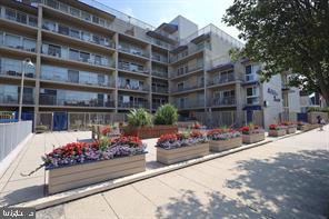 DESU2107836-804673579128-2026-03-24-17-03-33 8 Olive Ave #111 | Rehoboth Beach, DE Real Estate For Sale | MLS# Desu2107836  - Jack Lingo REALTOR