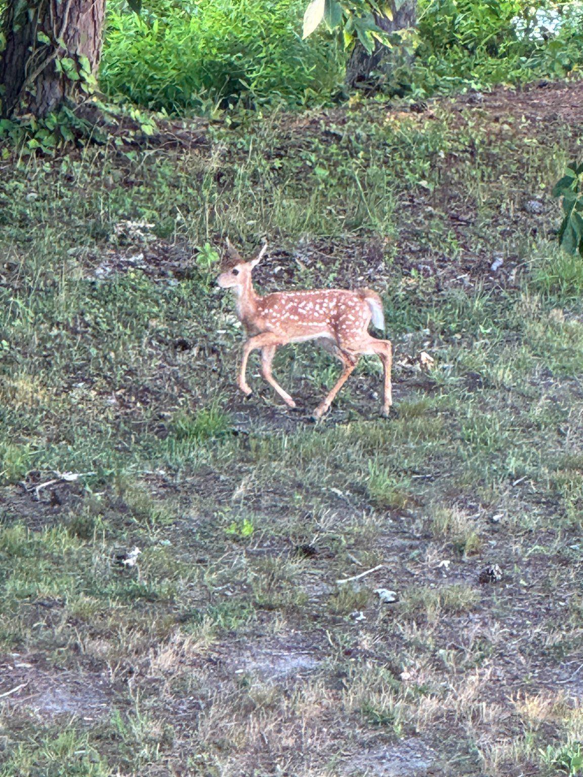 DESU2107846-804673365848-2026-04-09-07-32-27 3 Richardson Way | Rehoboth Beach, DE Real Estate For Sale | MLS# Desu2107846  - Jack Lingo REALTOR
