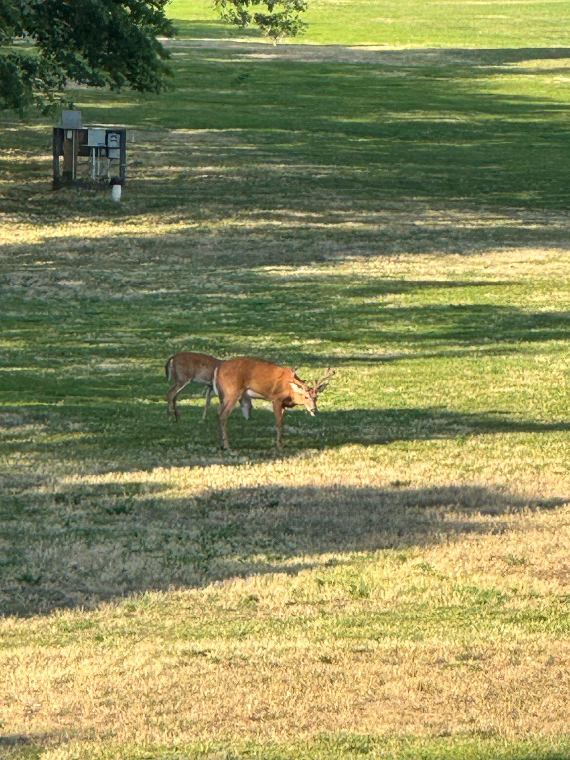 DESU2107846-804673365958-2026-04-09-07-32-28 3 Richardson Way | Rehoboth Beach, DE Real Estate For Sale | MLS# Desu2107846  - Jack Lingo REALTOR