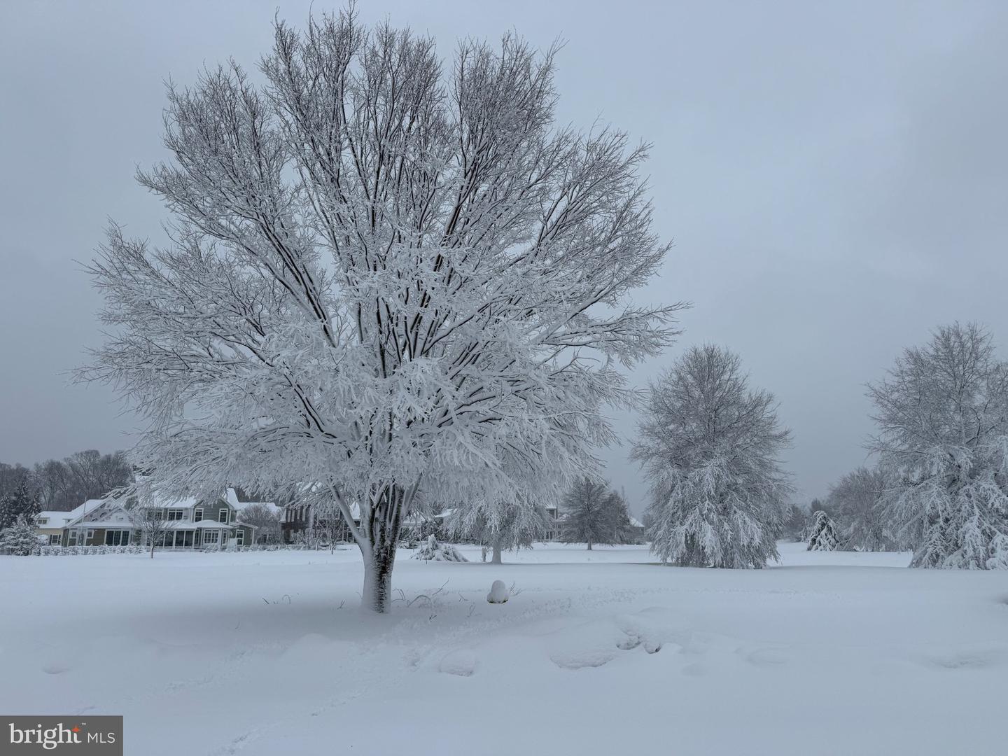 DESU2107846-804673367792-2026-04-09-07-32-27 3 Richardson Way | Rehoboth Beach, DE Real Estate For Sale | MLS# Desu2107846  - Jack Lingo REALTOR