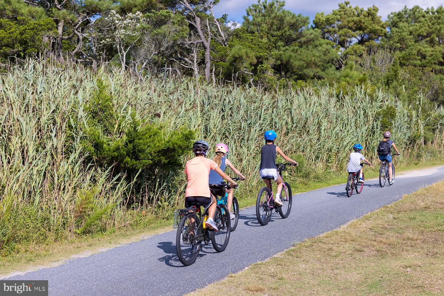 DESU2107980-804723907752-2026-04-03-17-12-22 34878 Picnic Basket Ct | Rehoboth Beach, DE Real Estate For Sale | MLS# Desu2107980  - Jack Lingo REALTOR