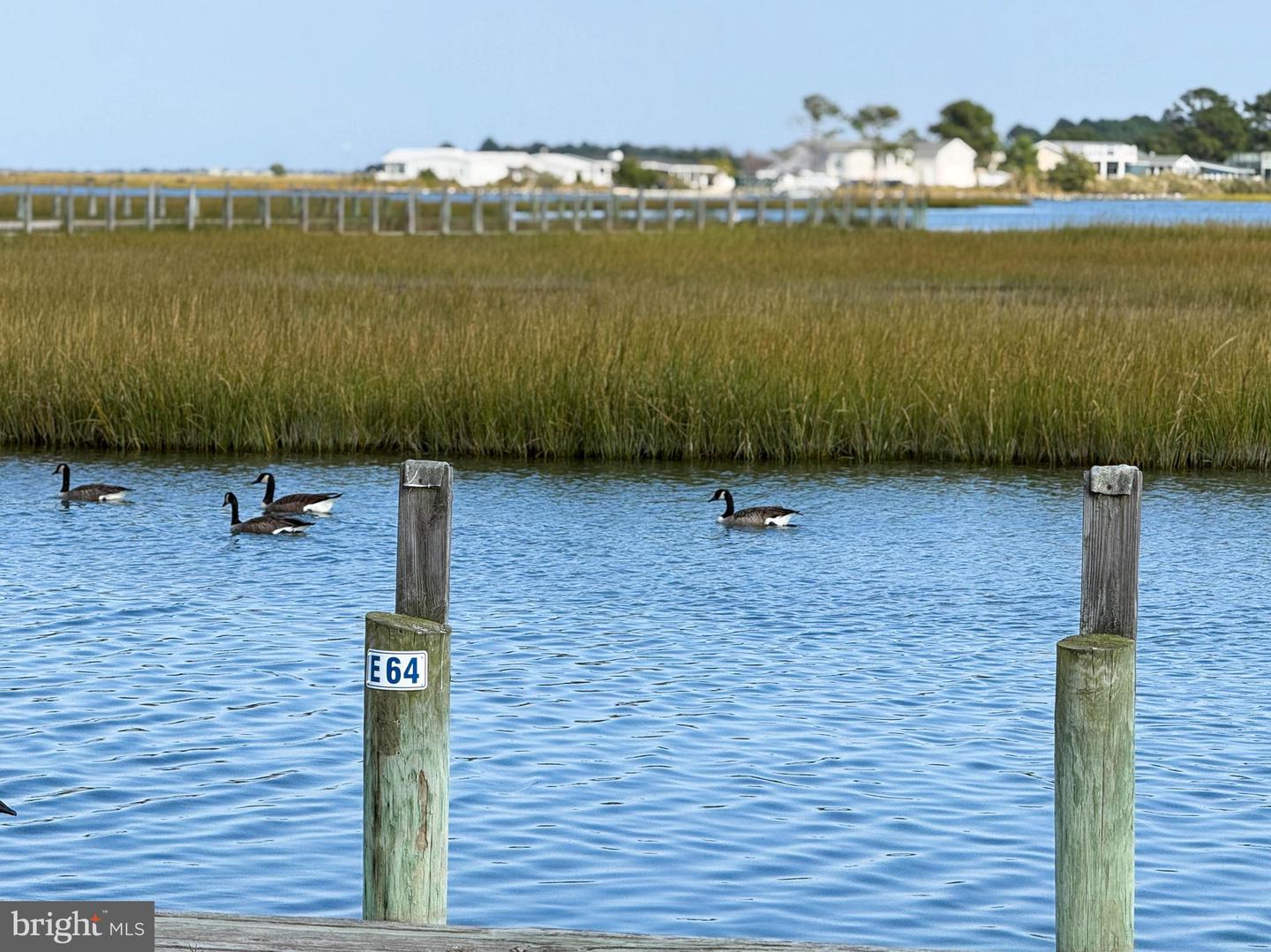 DESU2108336-804703284192-2026-04-05-18-53-00 35841 S Canal St #17849 | Millsboro, DE Real Estate For Sale | MLS# Desu2108336  - Jack Lingo REALTOR