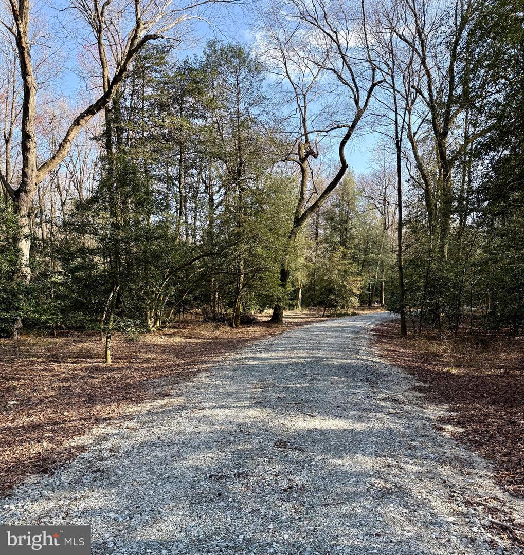 DESU2108348-804705752072-2026-04-08-13-40-27 0 Utica Rd #parcel 4 | Greenwood, DE Real Estate For Sale | MLS# Desu2108348  - Jack Lingo REALTOR