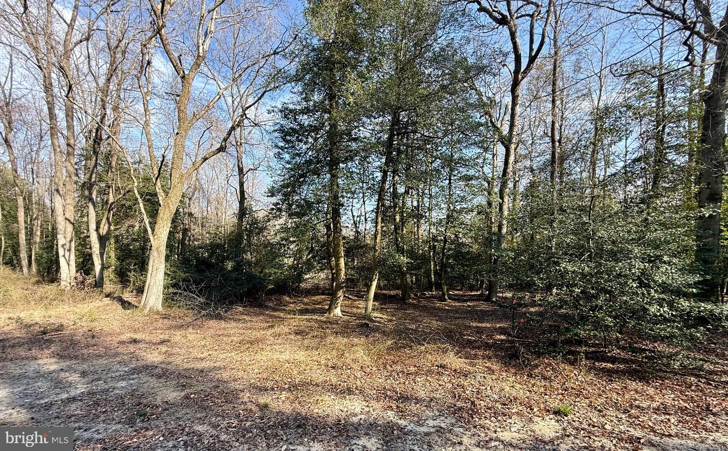 DESU2108348-804705752084-2026-04-08-13-40-27 0 Utica Rd #parcel 4 | Greenwood, DE Real Estate For Sale | MLS# Desu2108348  - Jack Lingo REALTOR