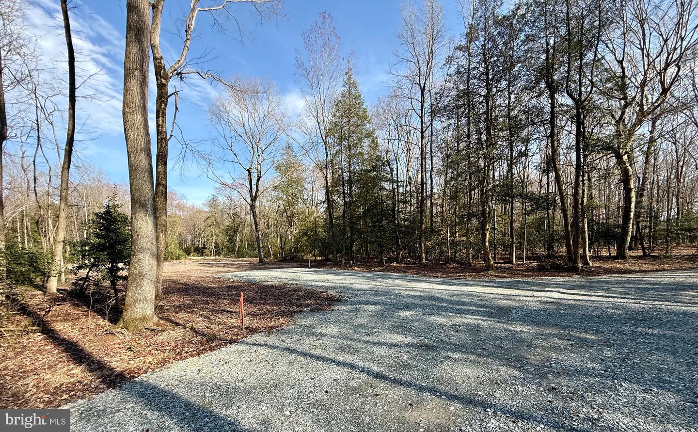 DESU2108348-804705752156-2026-04-08-13-40-27 0 Utica Rd #parcel 4 | Greenwood, DE Real Estate For Sale | MLS# Desu2108348  - Jack Lingo REALTOR