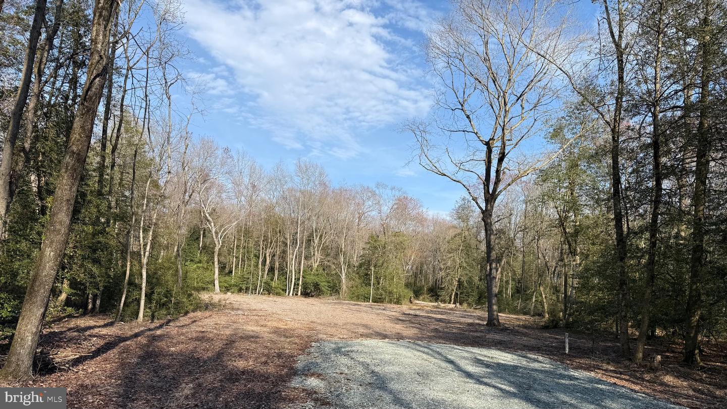 DESU2108348-804705752224-2026-04-08-13-40-27 0 Utica Rd #parcel 4 | Greenwood, DE Real Estate For Sale | MLS# Desu2108348  - Jack Lingo REALTOR