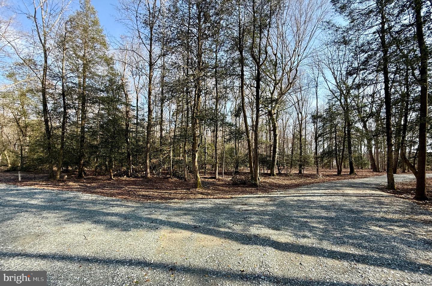 DESU2108348-804705752390-2026-04-08-13-40-27 0 Utica Rd #parcel 4 | Greenwood, DE Real Estate For Sale | MLS# Desu2108348  - Jack Lingo REALTOR