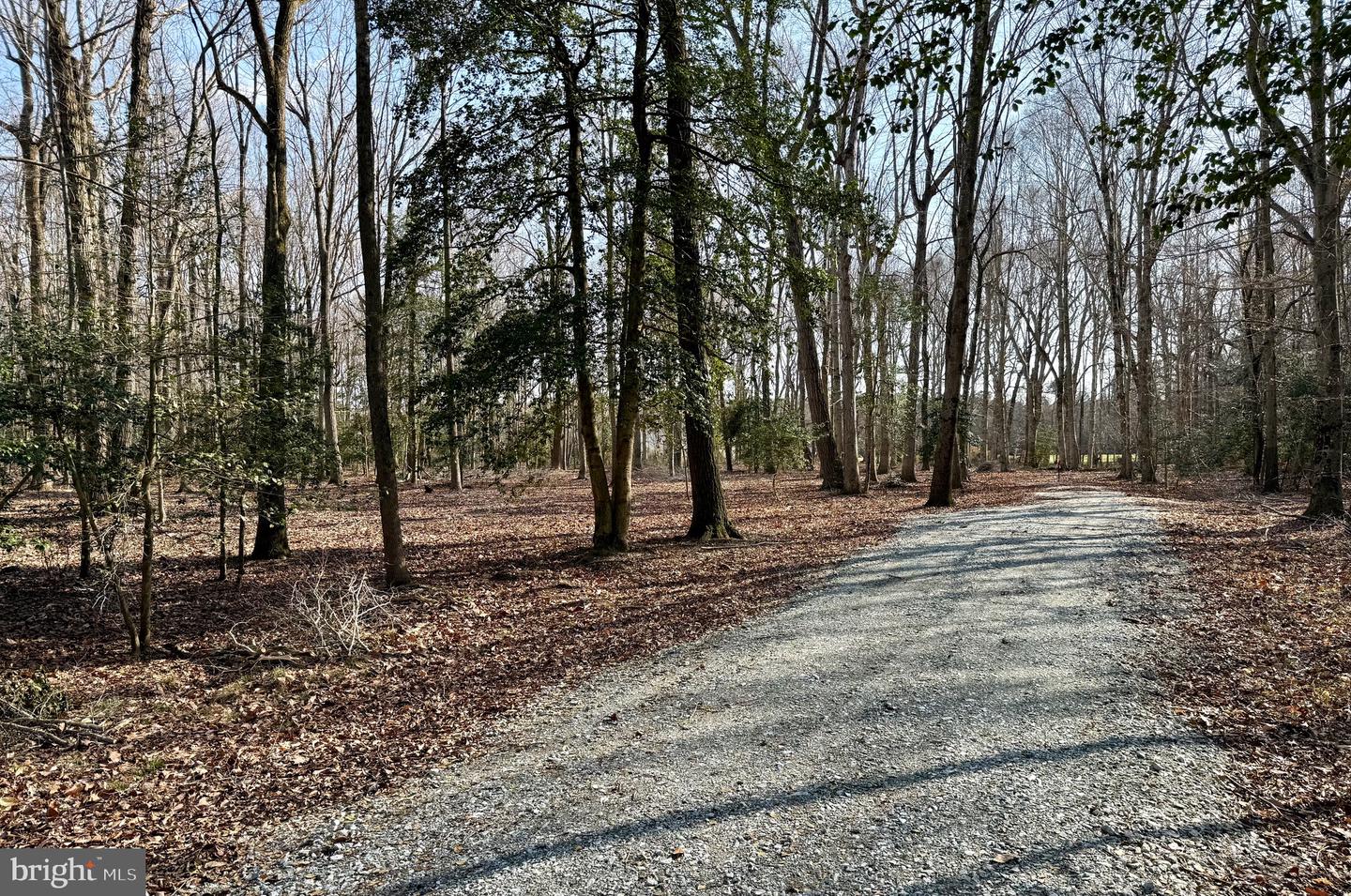 DESU2108348-804705752460-2026-04-08-13-40-27 0 Utica Rd #parcel 4 | Greenwood, DE Real Estate For Sale | MLS# Desu2108348  - Jack Lingo REALTOR