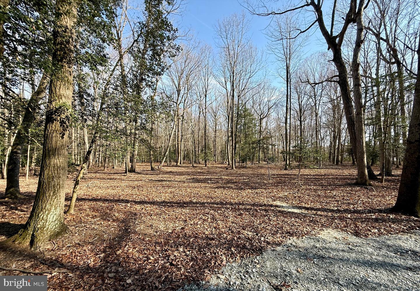 DESU2108348-804705752522-2026-04-08-13-40-27 0 Utica Rd #parcel 4 | Greenwood, DE Real Estate For Sale | MLS# Desu2108348  - Jack Lingo REALTOR