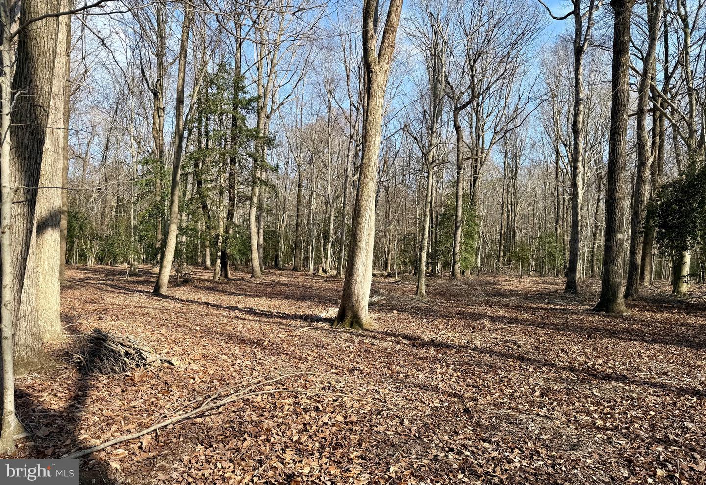 DESU2108348-804705752564-2026-04-08-13-40-27 0 Utica Rd #parcel 4 | Greenwood, DE Real Estate For Sale | MLS# Desu2108348  - Jack Lingo REALTOR