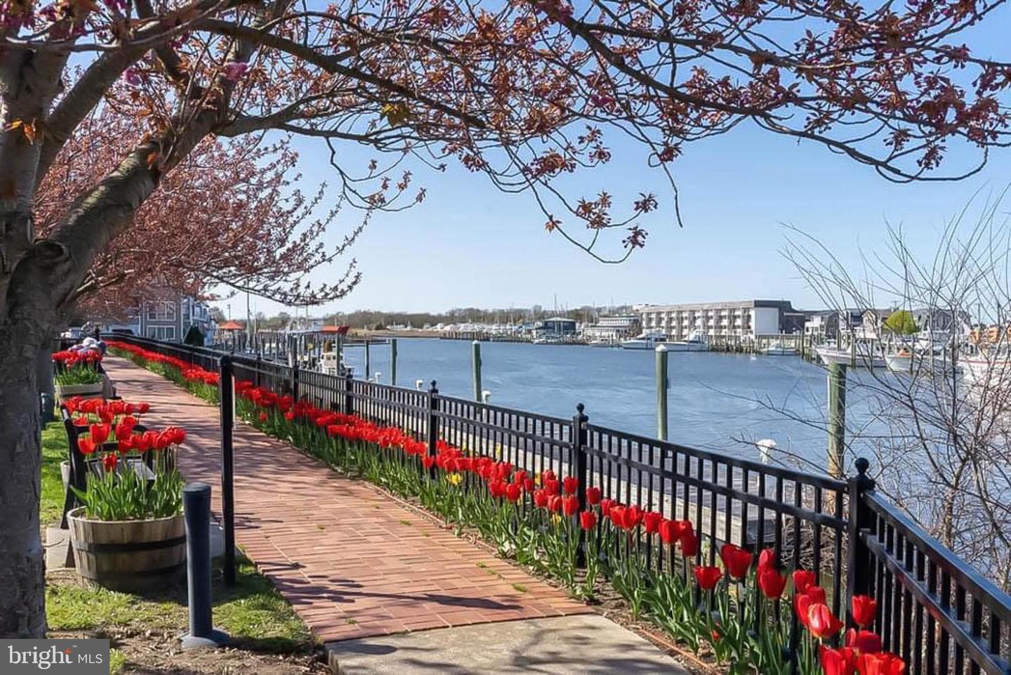 DESU2108494-804710126692-2026-04-01-13-24-05 118 Jefferson Ave | Lewes, DE Real Estate For Sale | MLS# Desu2108494  - Jack Lingo REALTOR