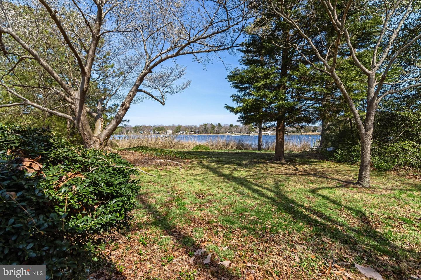 DESU2108540-804713156856-2026-04-01-11-30-56 5 Blackberry Ln | Harbeson, DE Real Estate For Sale | MLS# Desu2108540  - Jack Lingo REALTOR