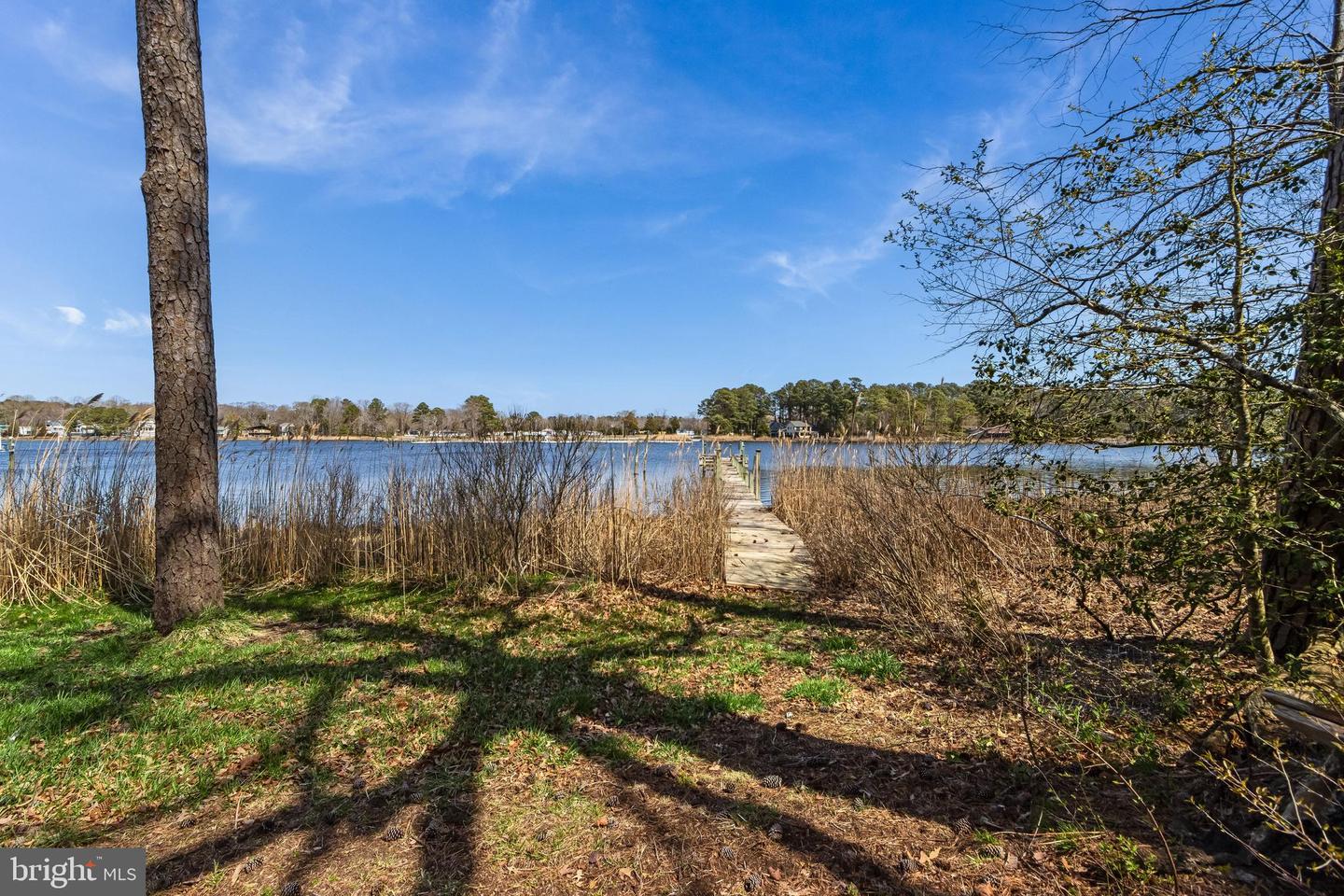 DESU2108540-804713169436-2026-04-01-11-30-52 5 Blackberry Ln | Harbeson, DE Real Estate For Sale | MLS# Desu2108540  - Jack Lingo REALTOR