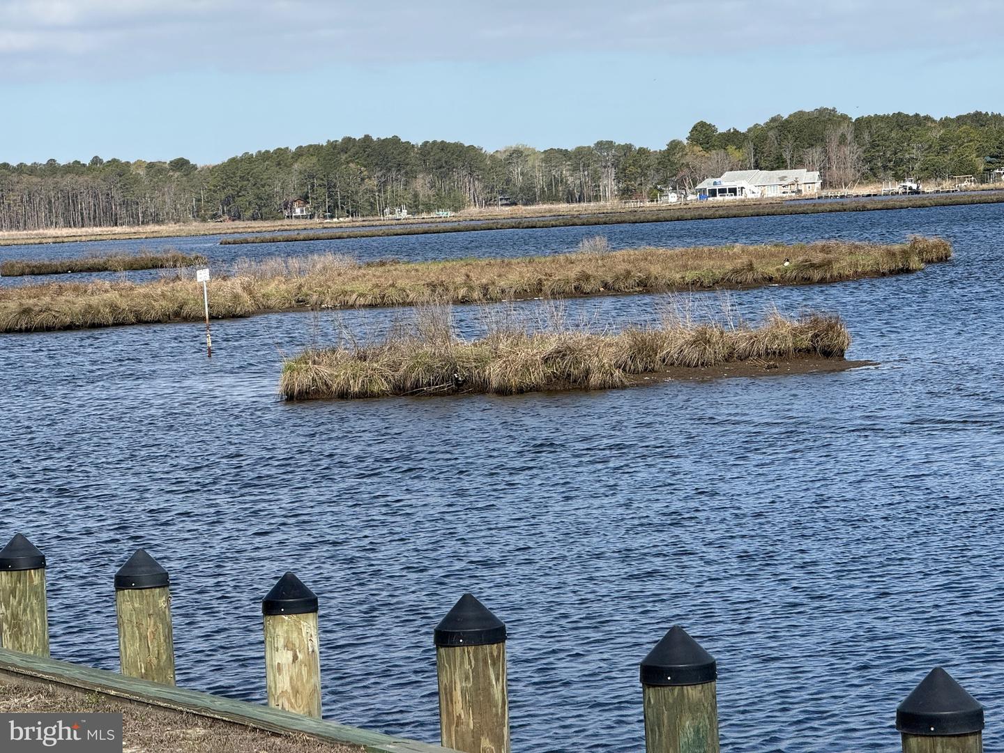 DESU2109004-804743601592-2026-04-09-08-52-23 37043 Blue Bill Dr | Selbyville, DE Real Estate For Sale | MLS# Desu2109004  - Jack Lingo REALTOR