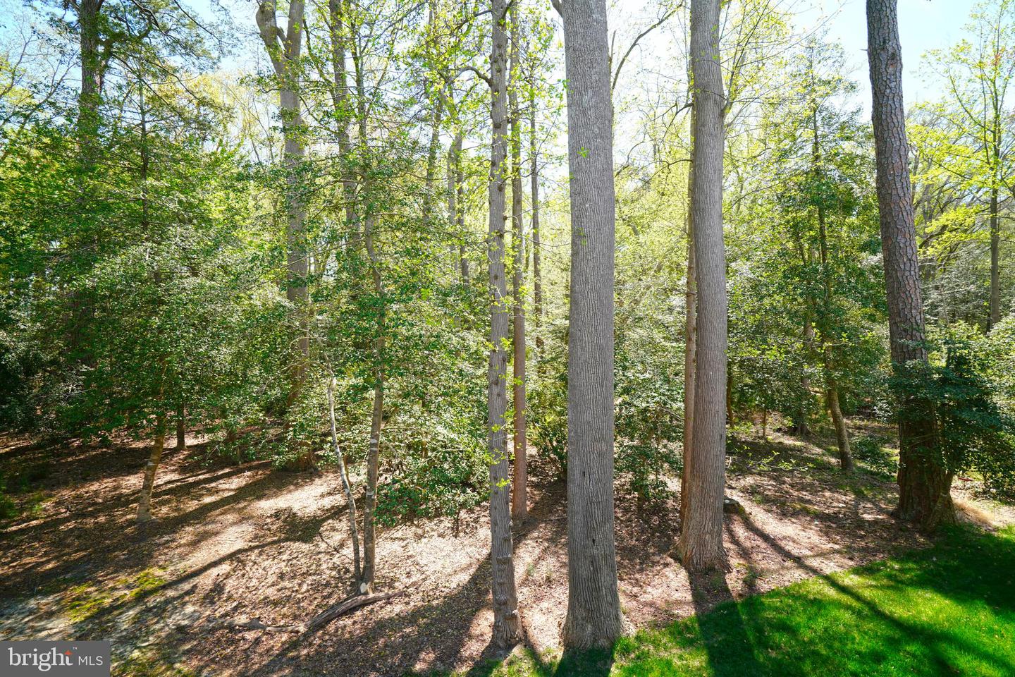 DESU2109344-804782970142-2026-04-16-17-40-50 12409 Dickinson Ct | Lewes, DE Real Estate For Sale | MLS# Desu2109344  - Jack Lingo REALTOR