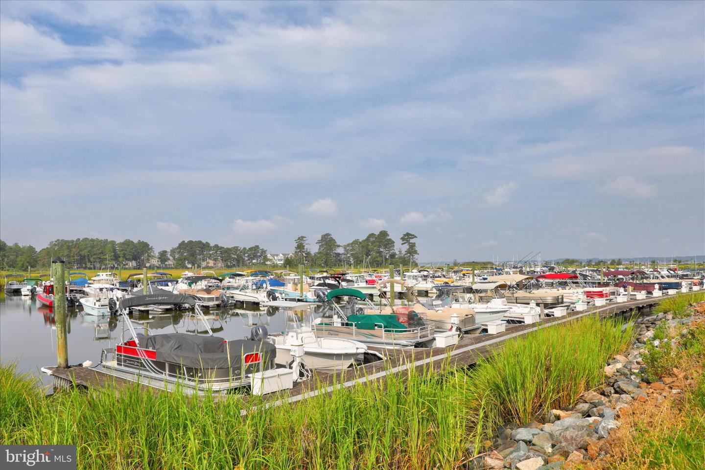DESU2109676-804924133742-2026-05-15-09-47-27 29902 Sawmill Dr | Dagsboro, DE Real Estate For Sale | MLS# Desu2109676 - Jack Lingo REALTOR DESU2109676-804924133742-2026-05-15-09-47-27 29902 Sawmill Dr | Dagsboro, DE Real Estate For Sale | MLS# Desu2109676 - Jack Lingo REALTOR