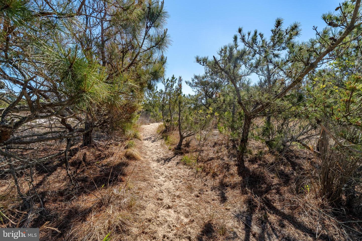 DESU2109896-804905430754-2026-05-11-09-58-30 34875 Alda Ln | Bethany Beach, DE Real Estate For Sale | MLS# Desu2109896  - Jack Lingo REALTOR