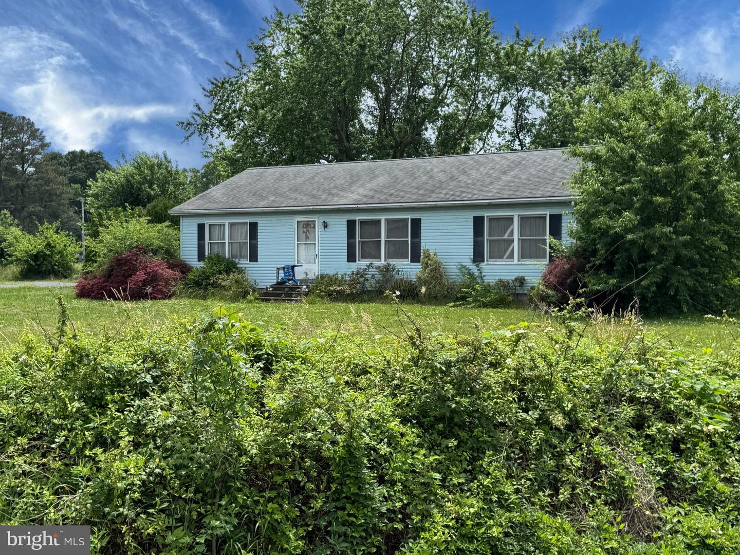 DESU2110070-804972422916-2026-05-27-16-22-57 33355 Main St | Dagsboro, DE Real Estate For Sale | MLS# Desu2110070  - Jack Lingo REALTOR