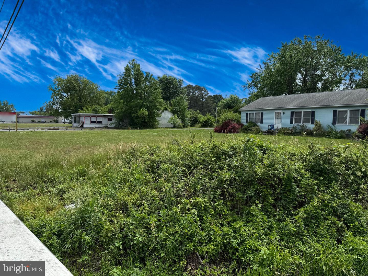 DESU2110070-804972422960-2026-05-27-16-22-57 33355 Main St | Dagsboro, DE Real Estate For Sale | MLS# Desu2110070  - Jack Lingo REALTOR