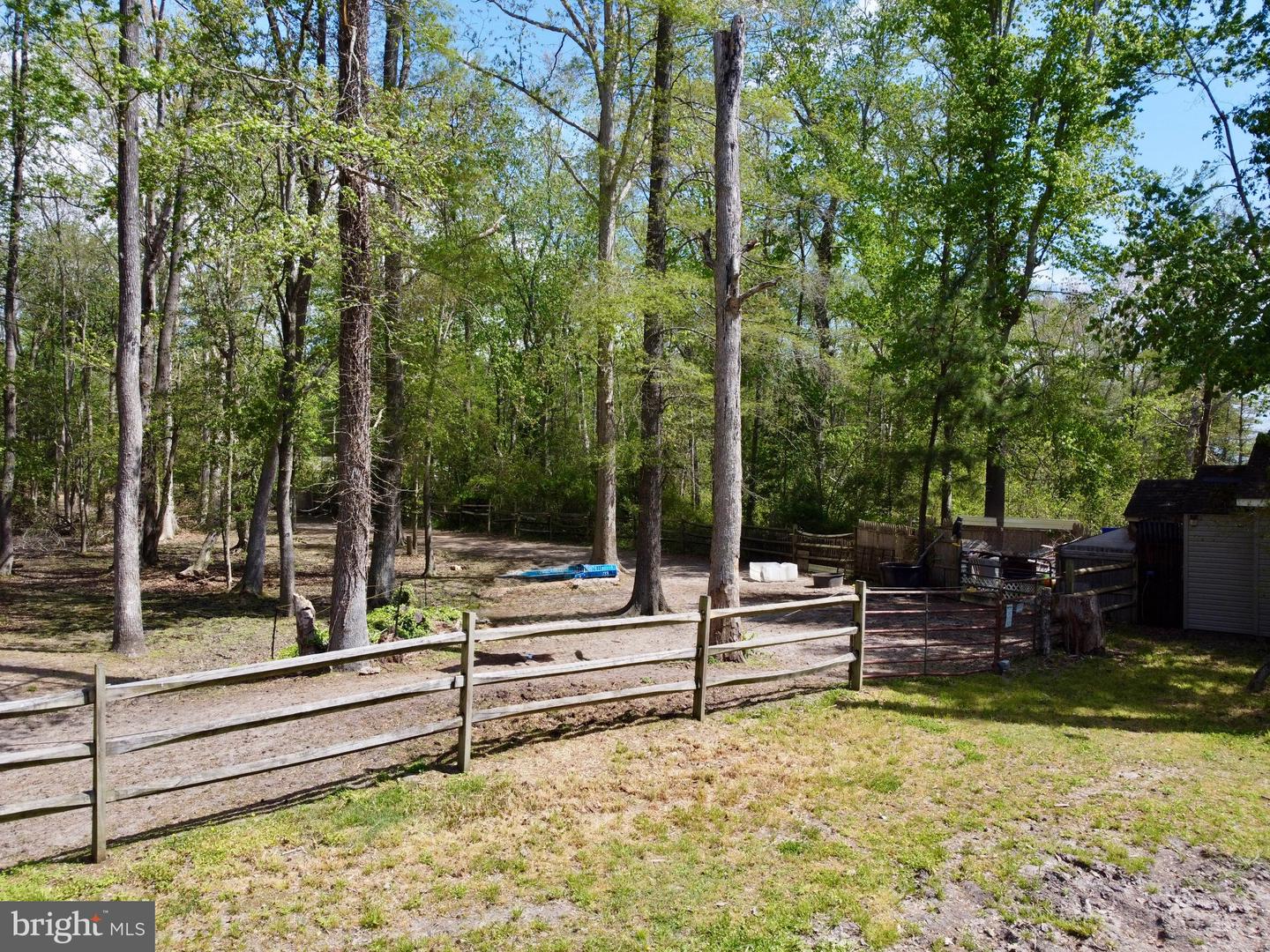 DESU2110172-804803509100-2026-04-22-13-11-54 32685 Daisey Rd | Frankford, DE Real Estate For Sale | MLS# Desu2110172  - Jack Lingo REALTOR