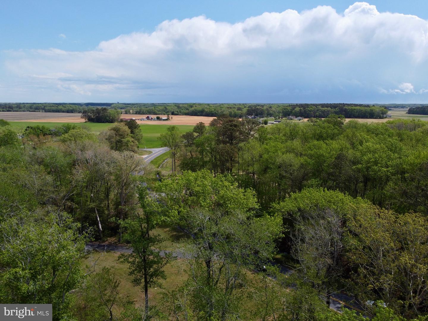 DESU2110172-804803519882-2026-04-22-13-11-55 32685 Daisey Rd | Frankford, DE Real Estate For Sale | MLS# Desu2110172  - Jack Lingo REALTOR