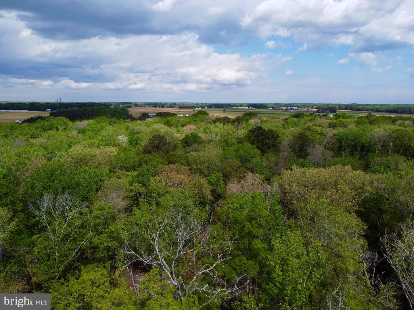 DESU2110172-804803519956-2026-04-22-13-11-55 32685 Daisey Rd | Frankford, DE Real Estate For Sale | MLS# Desu2110172  - Jack Lingo REALTOR