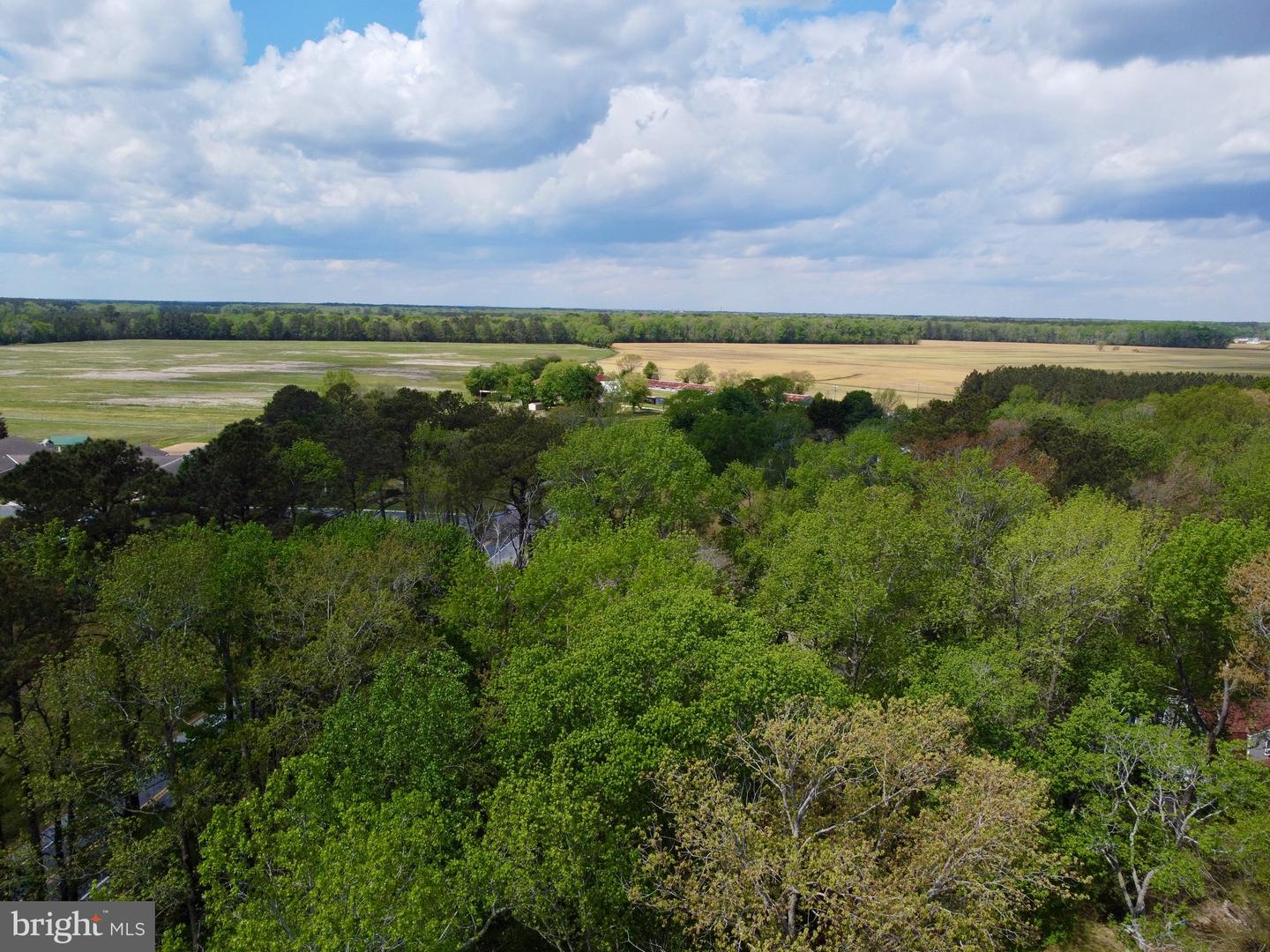 DESU2110172-804803520150-2026-04-22-13-11-55 32685 Daisey Rd | Frankford, DE Real Estate For Sale | MLS# Desu2110172  - Jack Lingo REALTOR