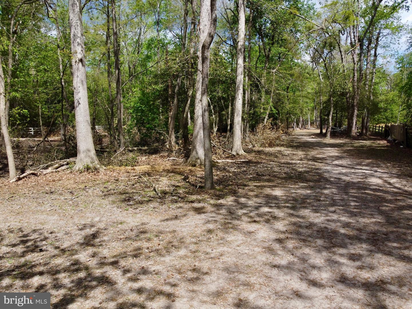 DESU2110172-804803521548-2026-04-22-13-11-55 32685 Daisey Rd | Frankford, DE Real Estate For Sale | MLS# Desu2110172  - Jack Lingo REALTOR