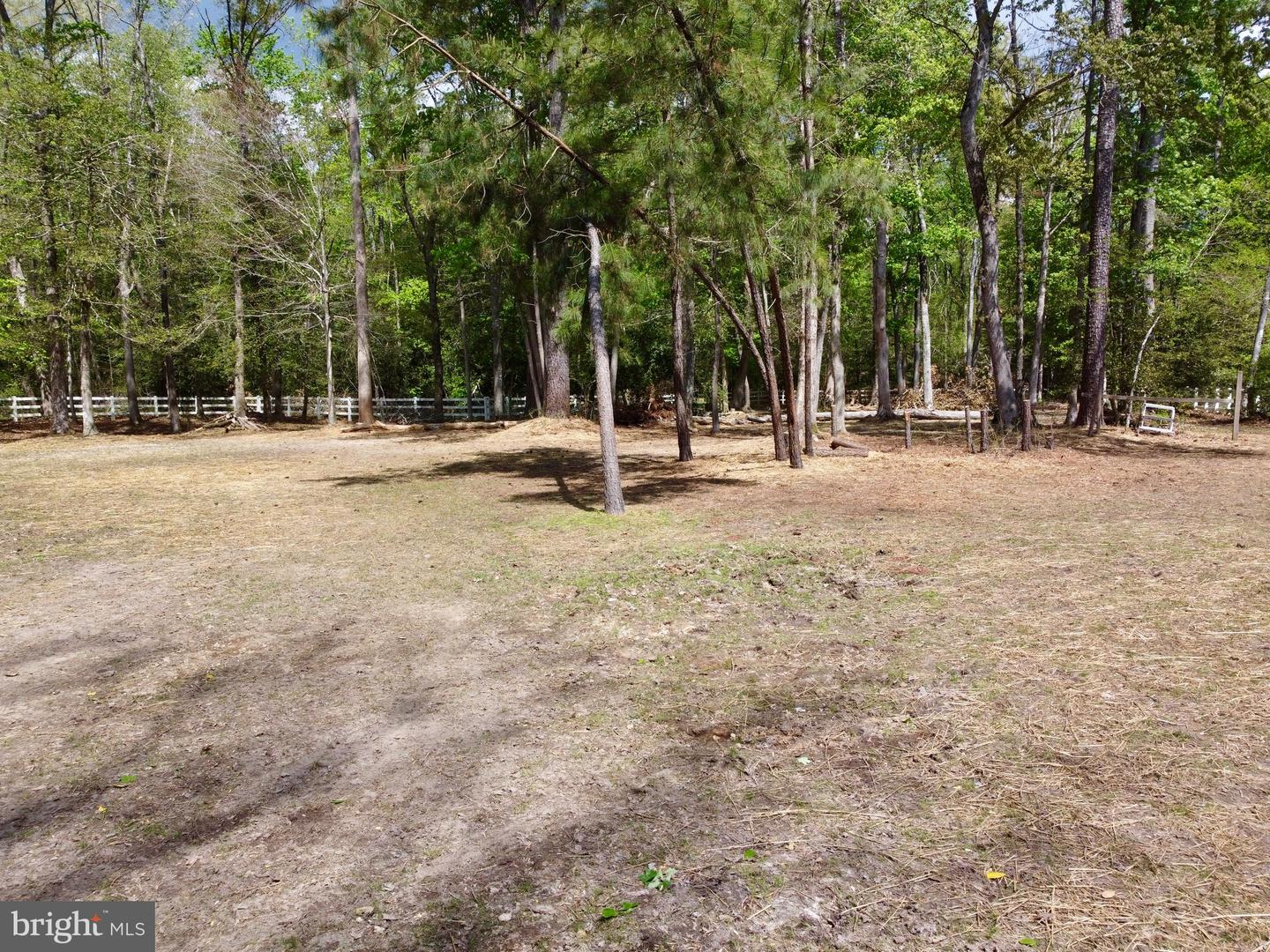 DESU2110172-804803522232-2026-04-22-13-11-54 32685 Daisey Rd | Frankford, DE Real Estate For Sale | MLS# Desu2110172  - Jack Lingo REALTOR