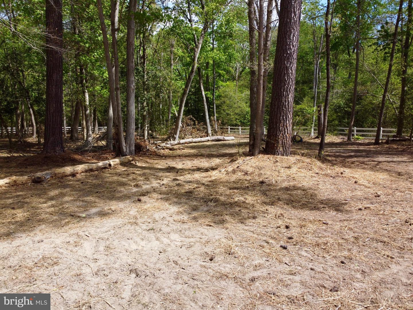 DESU2110172-804803522458-2026-04-22-13-11-55 32685 Daisey Rd | Frankford, DE Real Estate For Sale | MLS# Desu2110172  - Jack Lingo REALTOR