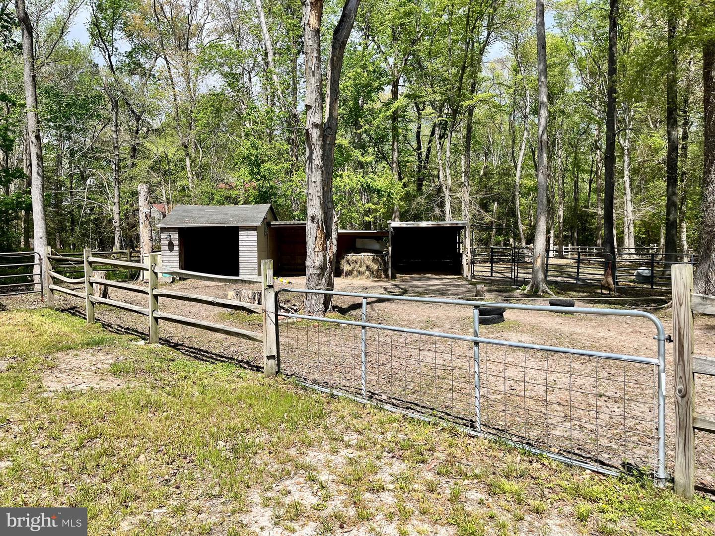 DESU2110172-804803596024-2026-04-22-13-11-54 32685 Daisey Rd | Frankford, DE Real Estate For Sale | MLS# Desu2110172  - Jack Lingo REALTOR