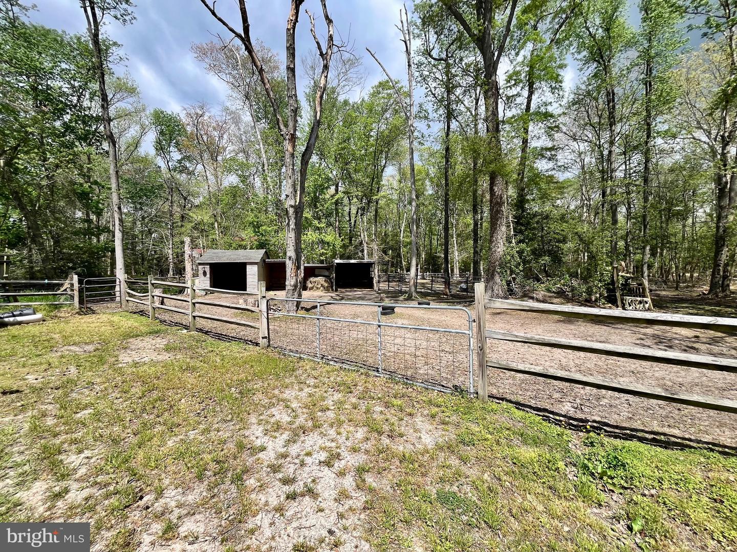 DESU2110172-804803596138-2026-04-22-13-11-54 32685 Daisey Rd | Frankford, DE Real Estate For Sale | MLS# Desu2110172  - Jack Lingo REALTOR