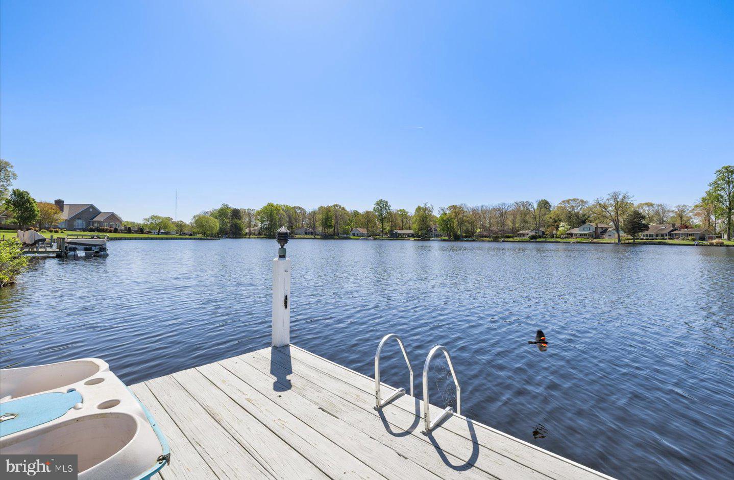 DESU2110232-804813399936-2026-05-01-15-25-38 23096 Lakewood Cir | Millsboro, DE Real Estate For Sale | MLS# Desu2110232  - Jack Lingo REALTOR