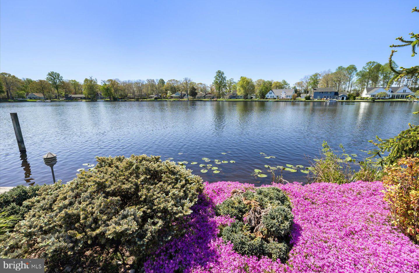 DESU2110232-804813400462-2026-05-01-15-25-38 23096 Lakewood Cir | Millsboro, DE Real Estate For Sale | MLS# Desu2110232  - Jack Lingo REALTOR