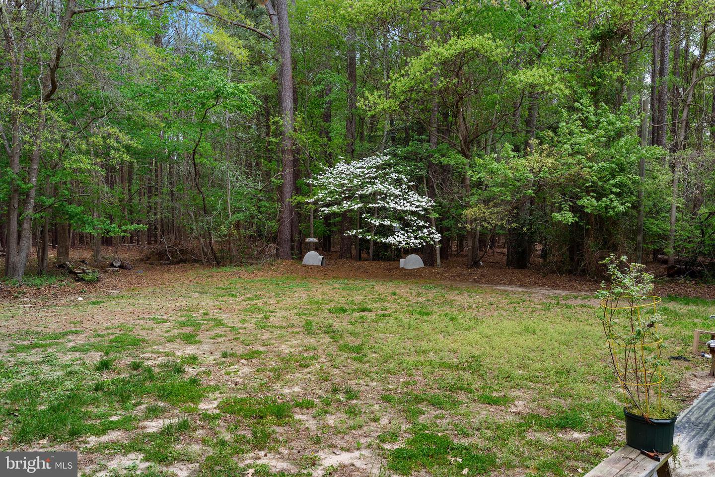 DESU2110306-804813101754-2026-04-27-15-34-27 28830 Serenity Ln | Harbeson, DE Real Estate For Sale | MLS# Desu2110306  - Jack Lingo REALTOR