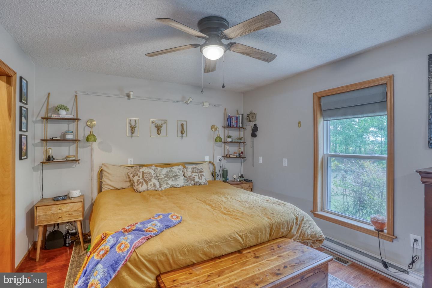 DESU2110418-804899665888-2026-05-09-00-09-58 17065 Spruce Rd | Ellendale, DE Real Estate For Sale | MLS# Desu2110418 - Jack Lingo REALTOR DESU2110418-804899665888-2026-05-09-00-09-58 17065 Spruce Rd | Ellendale, DE Real Estate For Sale | MLS# Desu2110418 - Jack Lingo REALTOR