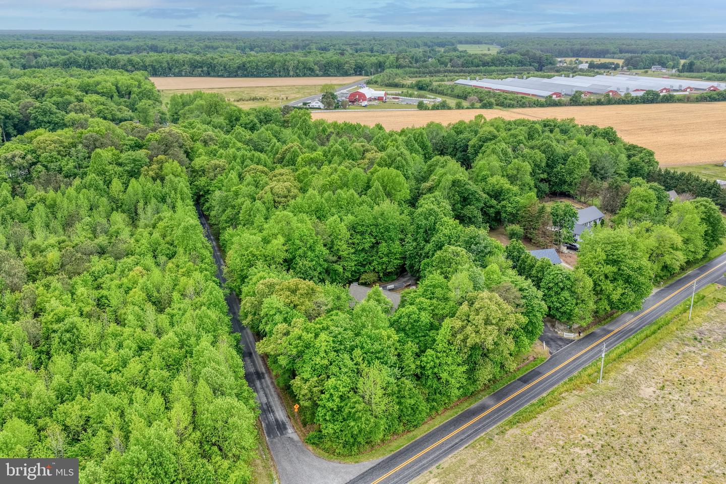 DESU2110418-804899666362-2026-05-09-00-10-00 17065 Spruce Rd | Ellendale, DE Real Estate For Sale | MLS# Desu2110418 - Jack Lingo REALTOR DESU2110418-804899666362-2026-05-09-00-10-00 17065 Spruce Rd | Ellendale, DE Real Estate For Sale | MLS# Desu2110418 - Jack Lingo REALTOR