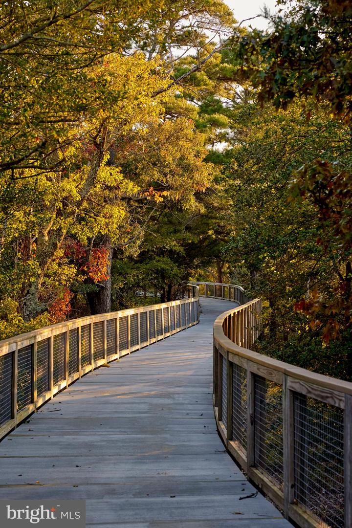 DESU2110476-804823592396-2026-04-24-01-31-29 239 Clara Lane | Lewes, DE Real Estate For Sale | MLS# Desu2110476  - Jack Lingo REALTOR