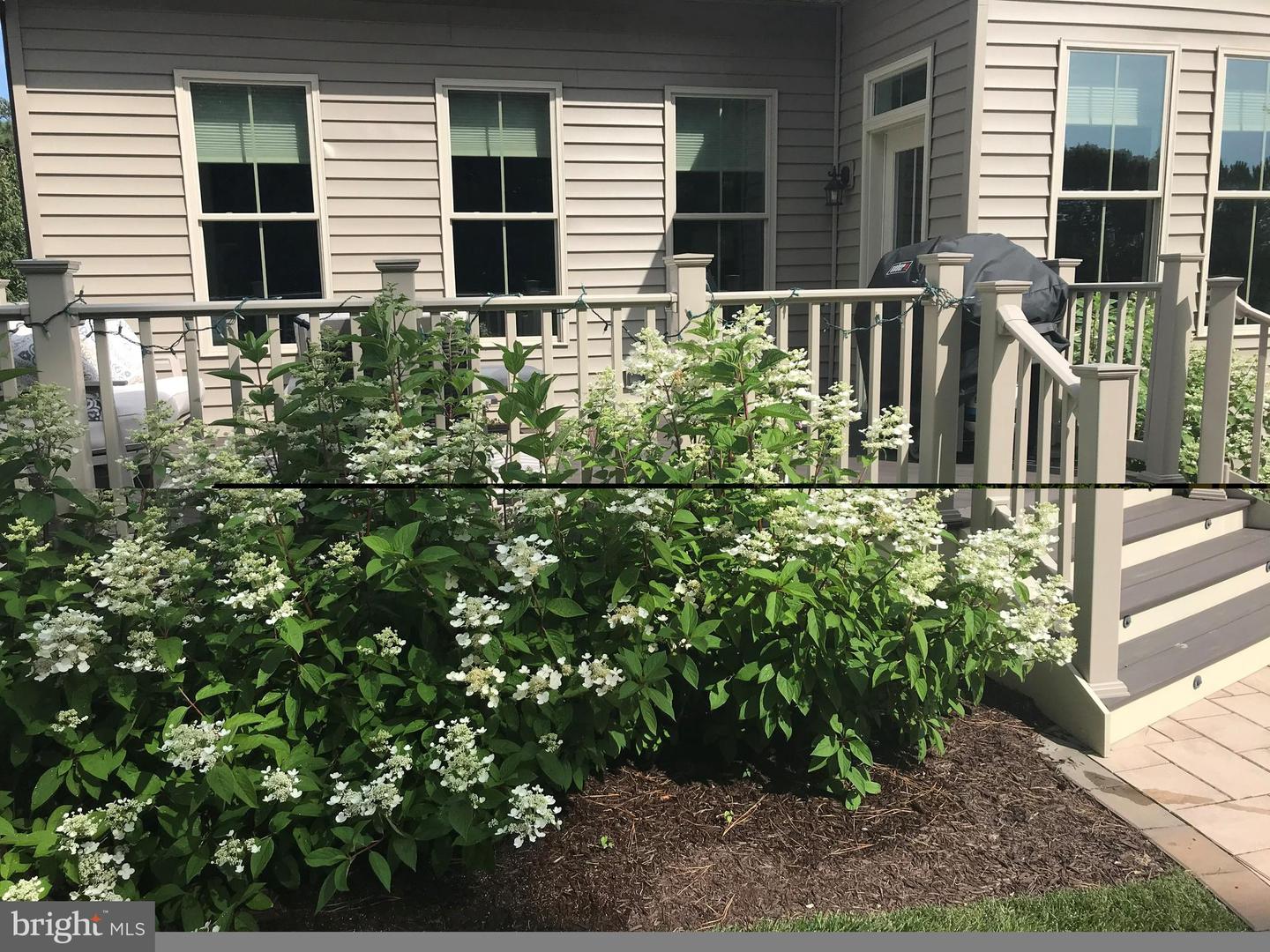 DESU2110806-804880026632-2026-05-05-15-29-32 29390 Spy Glass Ln | Dagsboro, DE Real Estate For Sale | MLS# Desu2110806  - Jack Lingo REALTOR