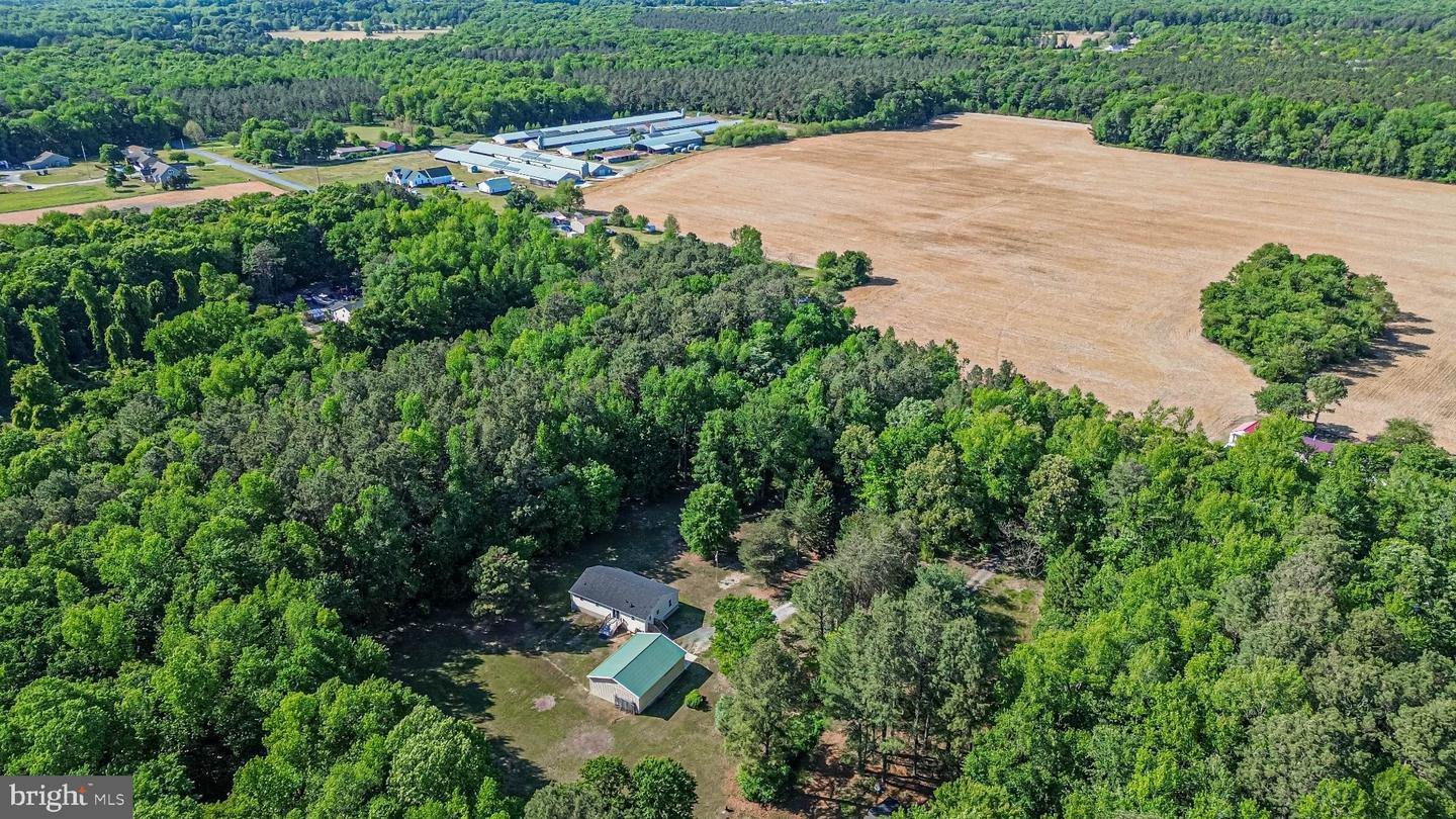 DESU2111602-804902590798-2026-05-19-10-36-15 13194 Hunters Cove Rd | Greenwood, DE Real Estate For Sale | MLS# Desu2111602  - Jack Lingo REALTOR