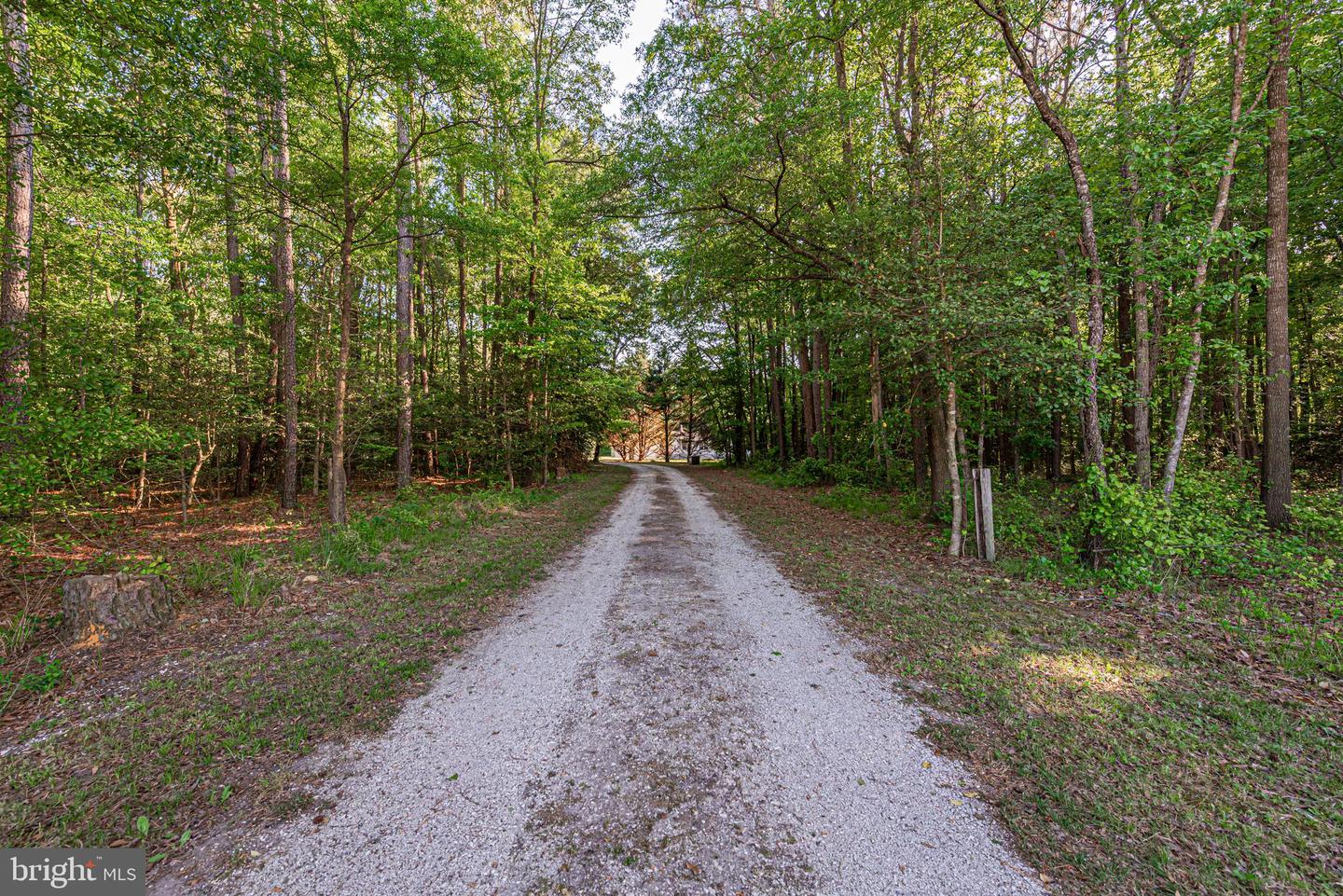 DESU2111602-804902663070-2026-05-19-10-36-16 13194 Hunters Cove Rd | Greenwood, DE Real Estate For Sale | MLS# Desu2111602  - Jack Lingo REALTOR